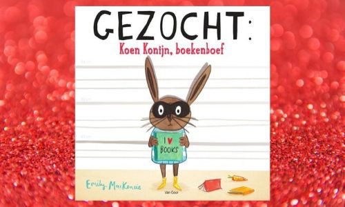 #214. Ode aan de bieb!: Gezocht: Koen Konijn, boekenboef