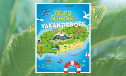 #420. Leuk & leerzaam: Young Scientist Vakantieboek